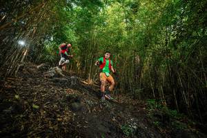 BIB: 
                            <button type="button" onclick="openModal(25103309)" class="btn btn-primary btn-sm float-right btn-popup" data-toggle="modal" data-target=".modal-high-quality">
                        <i class="fas fa-shopping-cart"></i> Add to Cart
                    </button>
                                            <button type="button" onclick="isThisMe(25103309, true)" class="btn btn-success btn-sm float-right btn-popup btn-isme hidden" data-toggle="tooltip" data-placement="bottom" title="นี่คือรูปของคุณใช่ไหม คลิกที่นี่เพื่อเอาเข้าอัลบั้ม">
                        <i class="fas fa-plus"></i> Add to album
                    </button>
                    <button type="button" onclick="isThisMe(25103309, false)" class="btn btn-warning btn-sm float-right btn-popup btn-isnotme hidden">
                        <i class="fas fa-ban"></i> Remove from album
                    </button>